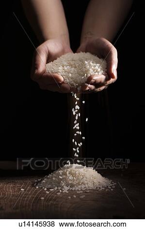 Stock Photo - Hands holding rice. Fotosearch