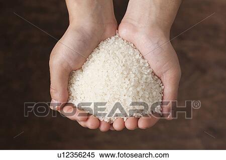 Hands holding rice View Large Photo Image Stock Photography - Hands holding rice. Fotosearch