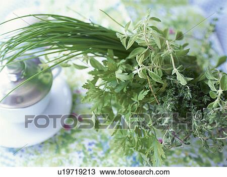 Herbs View Large Photo Image Stock Image - Herbs. Fotosearch