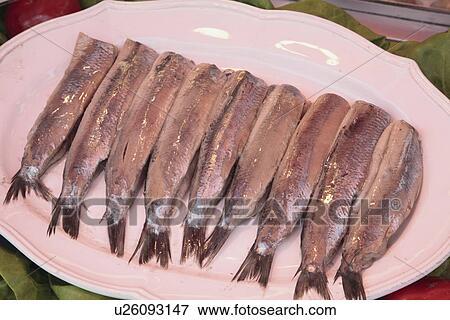 Stock Photo - Herrings. Fotosearch
