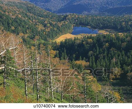 High Angle View of Mountain View Large Photo Image Picture - High Angle View of Mountain. Fotosearch