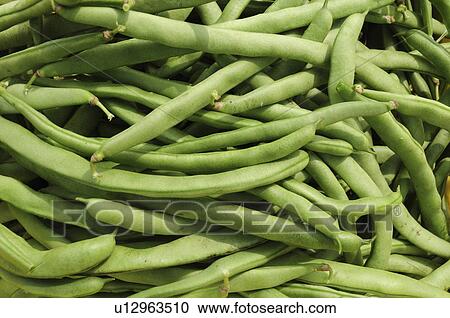 Stock Image - Kidney Beans. Fotosearch