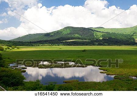 Kuruyama Marshes View Large Photo Image Stock Image - Kuruyama Marshes. Fotosearch