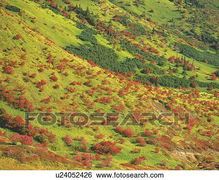 Stock Photograph - Kusatsu Shirane-san. Fotosearch