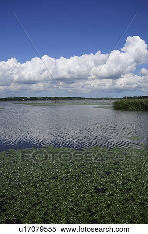 Lake Inba View Large Photo Image Stock Photography - Lake Inba. Fotosearch