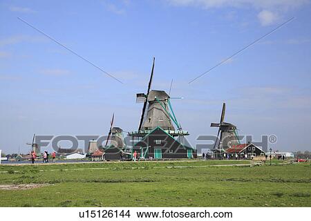 Landscape with Windmills View Large Photo Image Picture - Landscape with Windmills. Fotosearch