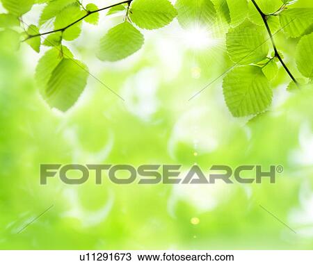 Leaves View Large Photo Image Stock Image - Leaves. Fotosearch