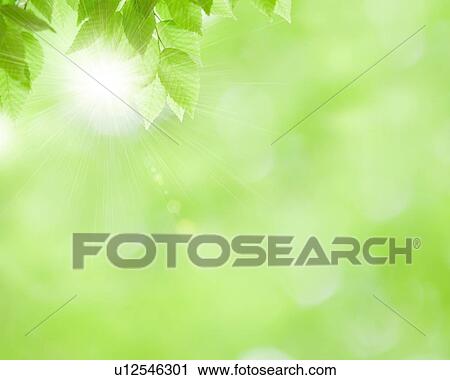 Stock Image - Leaves. Fotosearch