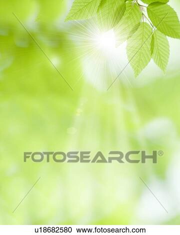 Leaves View Large Photo Image Stock Image - Leaves. Fotosearch