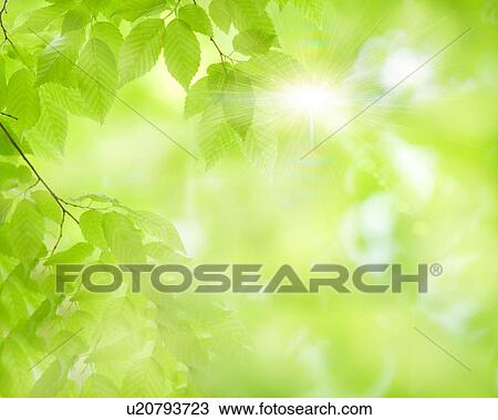 Stock Image - Leaves. Fotosearch
