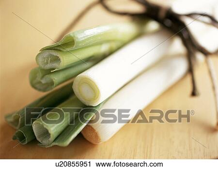 Stock Image - Leek. Fotosearch
