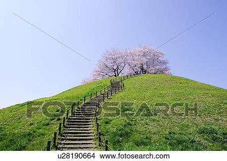 Maruhakayama Kofun View Large Photo Image Picture - Maruhakayama Kofun. Fotosearch