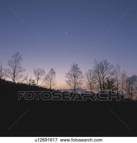 Stock Photo - Moon at Dawn. Fotosearch
