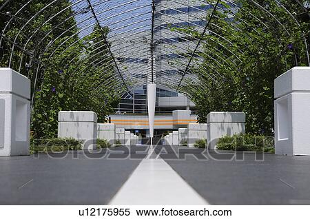 Stock Photography - Morning Glory Over Footpath. Fotosearch
