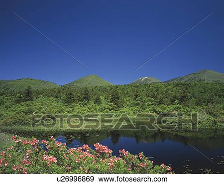 Mount Hakkoda and Pond View Large Photo Image Stock Photo - Mount Hakkoda and Pond. Fotosearch