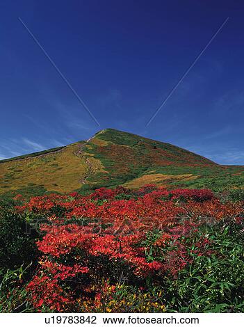 Stock Image - Mount Kurikoma. Fotosearch
