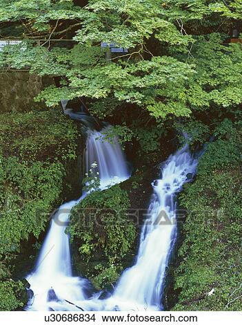 Mountain Stream View Large Photo Image Picture - Mountain Stream. Fotosearch