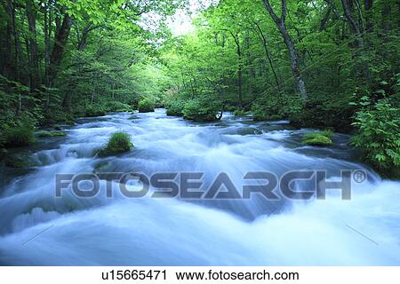 Oirase river View Large Photo Image Stock Image - Oirase river. Fotosearch