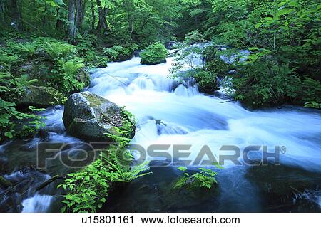 Stock Image - Oirase river. Fotosearch