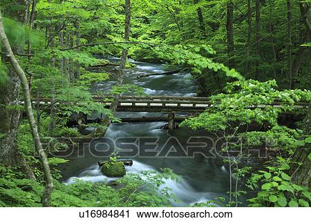 Oirase river View Large Photo Image Stock Image - Oirase river. Fotosearch