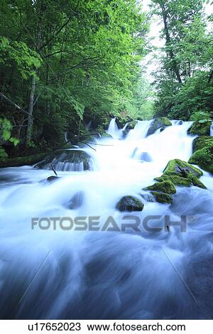 Oirase river View Large Photo Image Stock Image - Oirase river. Fotosearch