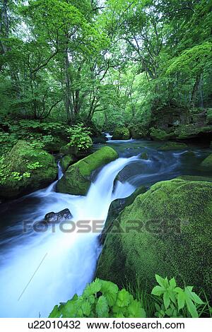 Oirase river View Large Photo Image Stock Image - Oirase river. Fotosearch