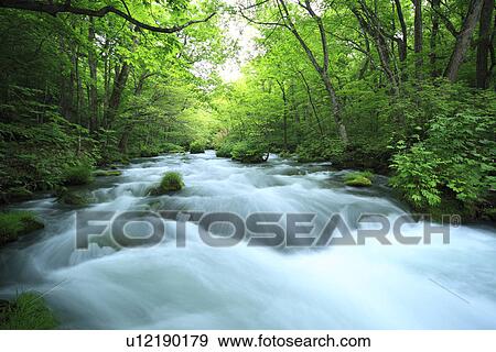 Oirase river View Large Photo Image Stock Photo - Oirase river. Fotosearch