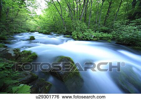 Stock Photograph - Oirase river. Fotosearch