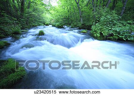 Stock Photography - Oirase river. Fotosearch