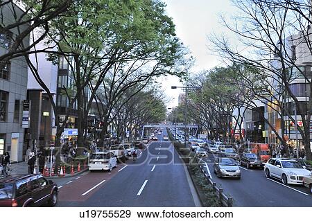 Omotesando at Dusk View Large Photo Image Stock Photo - Omotesando at Dusk. Fotosearch