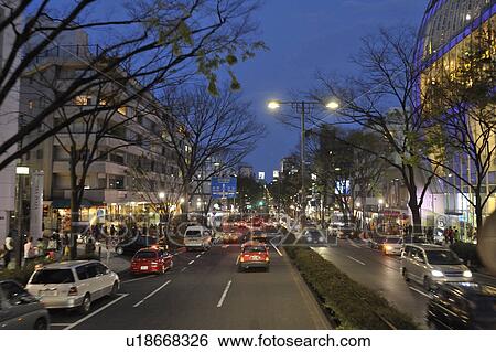 Stock Photograph -  Omotesando at Night. Fotosearch