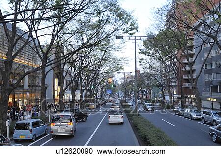 Stock Image - Omotesando Avenue. Fotosearch