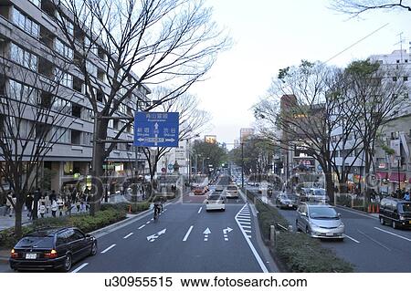 Stock Photography - Omotesando Avenue. Fotosearch