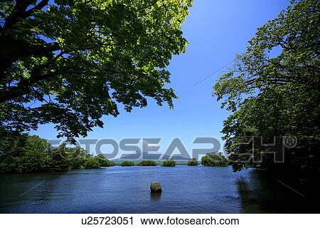 Onuma national park View Large Photo Image Stock Image - Onuma national park. Fotosearch