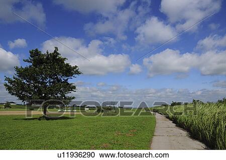 Park View Large Photo Image Stock Image - Park. Fotosearch