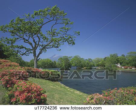 Stock Photograph - Park with Lake. Fotosearch