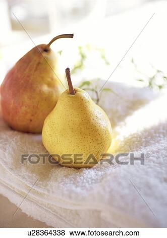 Stock Photo - Pears on towel. Fotosearch