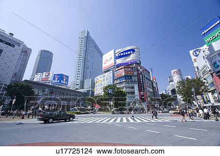 Pedestrian Crossing at Shibuya Station View Large Photo Image Picture - Pedestrian Crossing at Shibuya Station. Fotosearch