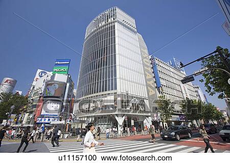 Pedestrian Crossing at Shibuya Station View Large Photo Image Stock Image - Pedestrian Crossing at Shibuya Station. Fotosearch