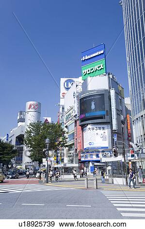 Stock Photo - Pedestrian Crossing at Shibuya Station. Fotosearch