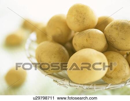 Potatoes in a basket View Large Photo Image Stock Image - Potatoes in a basket. Fotosearch