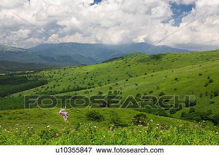 Rolling Landscape, Distant Group of People View Large Photo Image Stock Photo - Rolling Landscape, Distant Group of People. Fotosearch