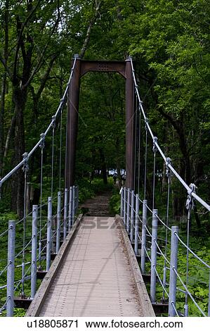 Rope Bridge View Large Photo Image Stock Image - Rope Bridge. Fotosearch
