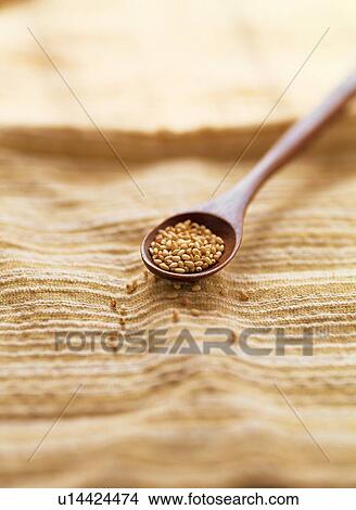 Picture - Sesame seeds in wooden spoon. Fotosearch