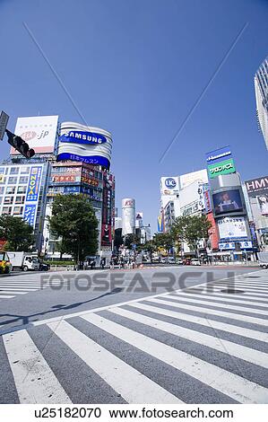 Shibuya Station View Large Photo Image Stock Image - Shibuya Station. Fotosearch