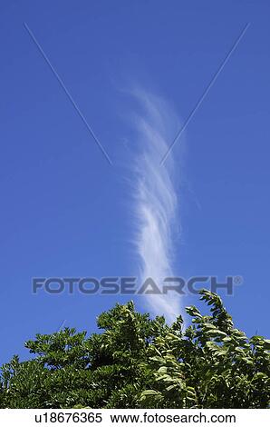 Stock Photography - Single Cloud Over Tree. Fotosearch