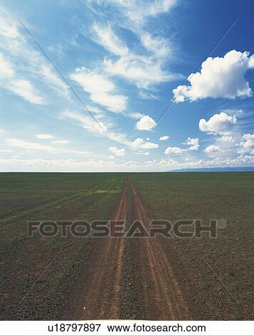 Stock Photo - Single Track Through Field. Fotosearch