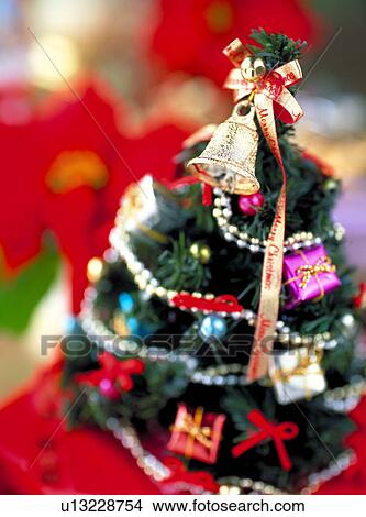 Small Christmas tree View Large Photo Image Picture - Small Christmas tree. Fotosearch