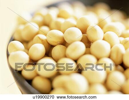 Stock Image - Soybeans in a bowl. Fotosearch