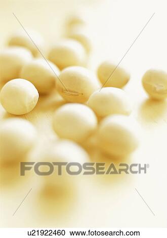Soybeans View Large Photo Image Stock Image - Soybeans. Fotosearch